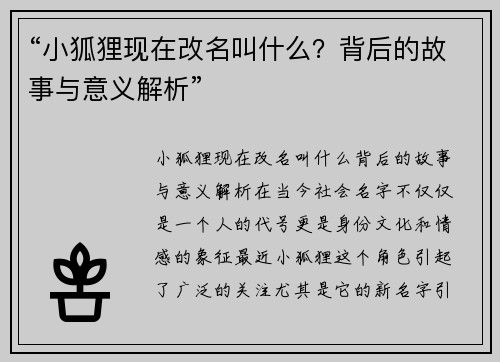 “小狐狸现在改名叫什么？背后的故事与意义解析”